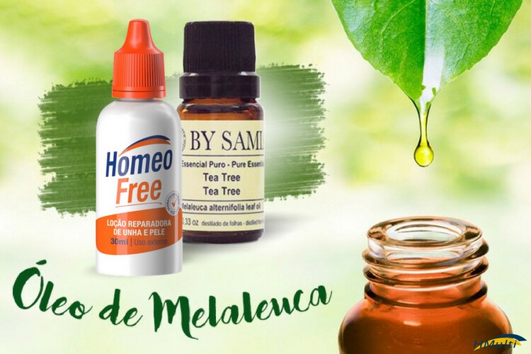A história e a origem do óleo de Melaleuca A história e a origem do óleo de Melaleuca